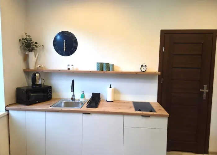 Dodo Acomodo 2 Katovice