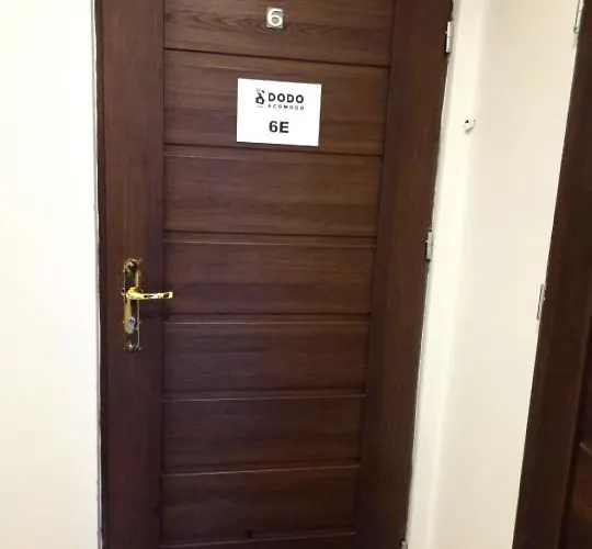 Dodo Acomodo 2 * Katovice