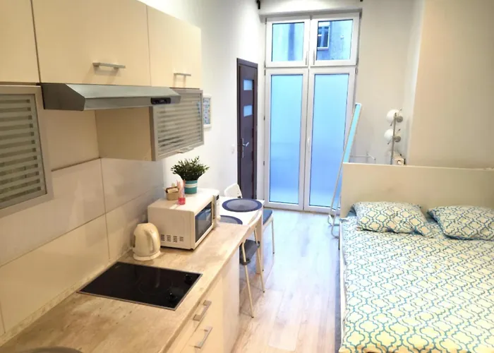 Dodo Acomodo 2 Katovice