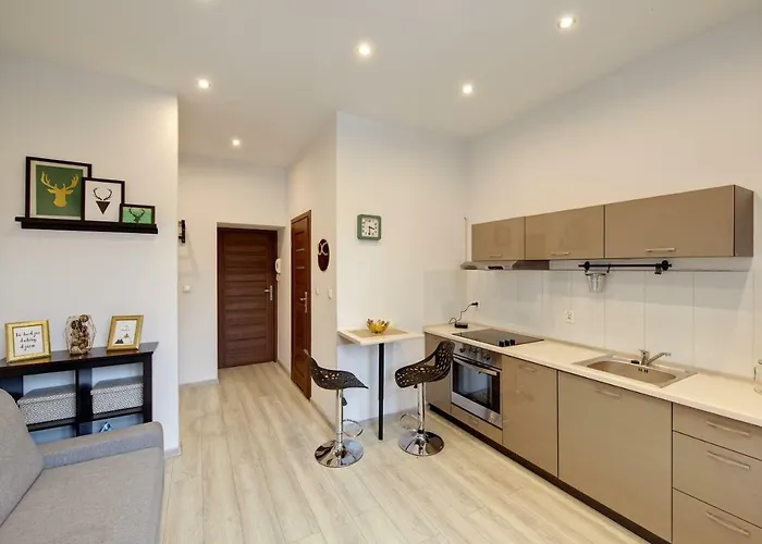 Dodo Acomodo 2 Katovice