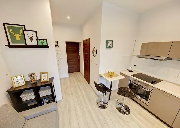 Dodo Acomodo 2 * Катовице